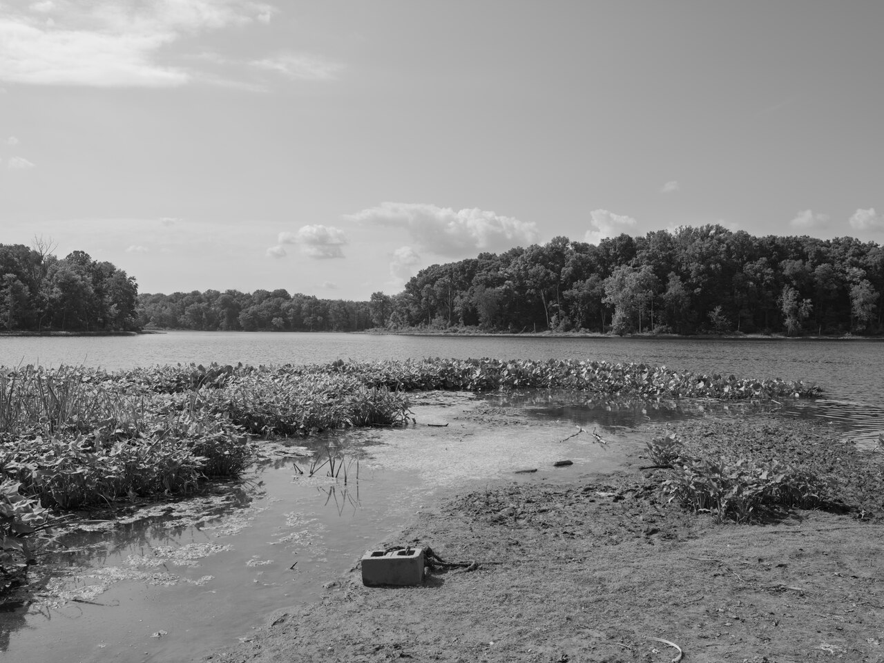Spring Grove, Illinois — Public Lands Institute - Chain O'Lakes State Park - 001